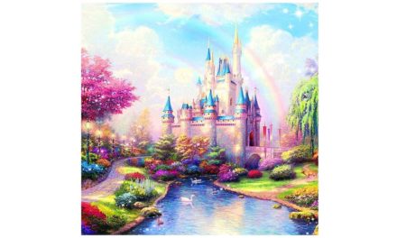 Week 35 – Disney castle