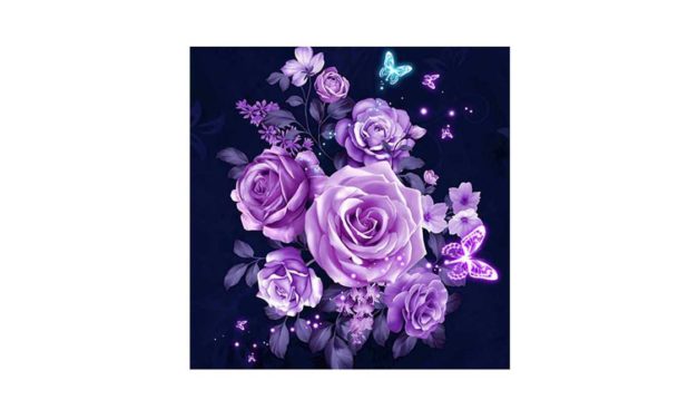 Week 45 – Purple roses