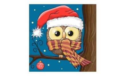 Week 50 – Owl with a Santa hat