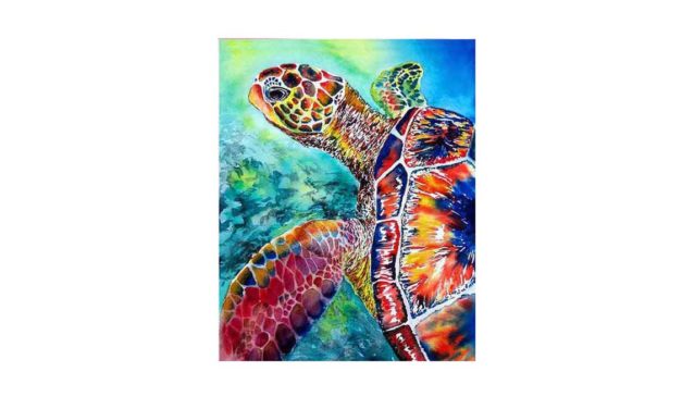 Week 29 – Colorful turtle