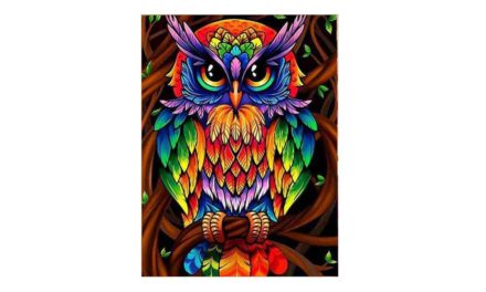 Week 2 – Colorful owl