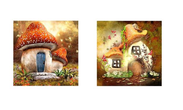 Week 13 – Mushroom houses