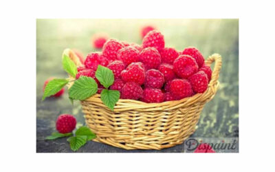 Week 26 – Basket of raspberries