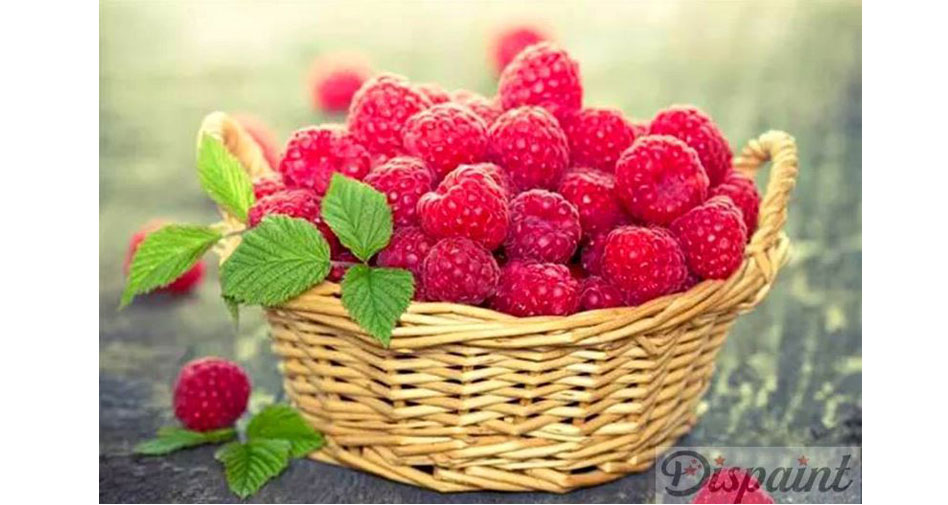 Basket of raspberries