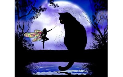 Week 46 – Fairy and a cat