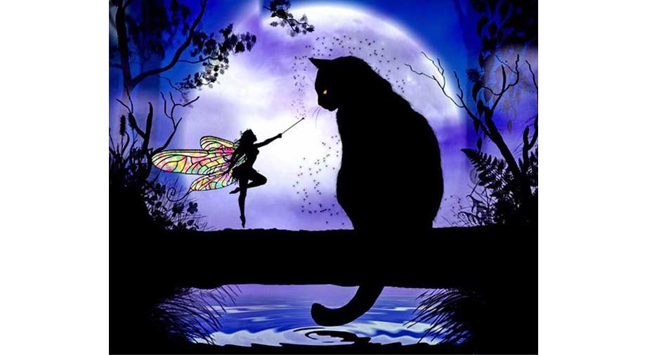 fairy and a cat