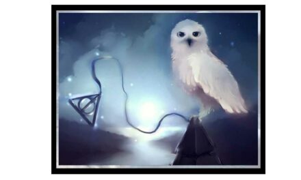 Week 16 – Hedwig