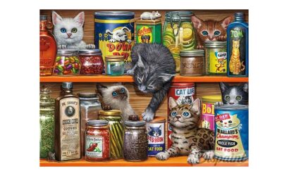 Week 14 – Cats in the pantry