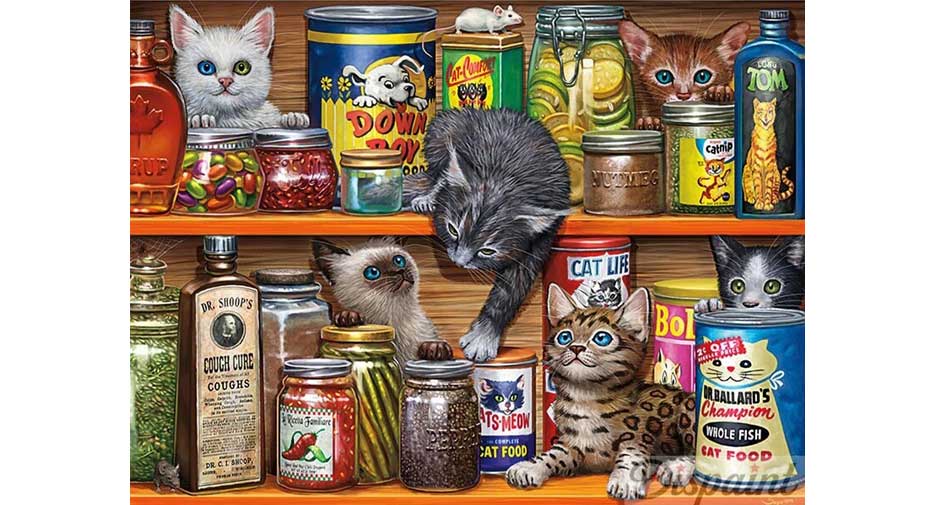 cats in the pantry
