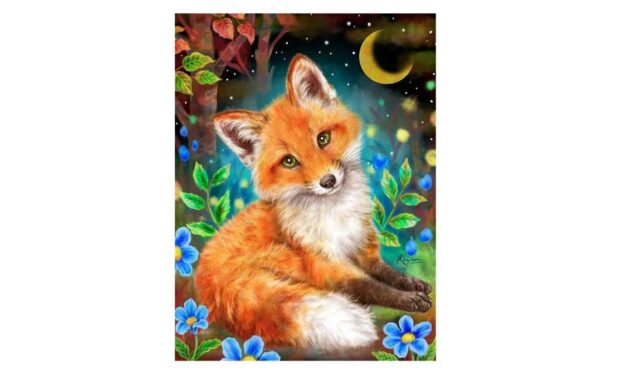 Week 38 – Cute fox