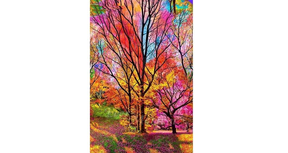 colorful trees